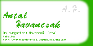 antal havancsak business card